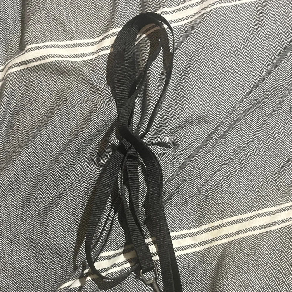 Chic Black and White Cat Harness and Leash Set